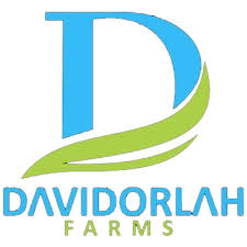 Davidorlah Nigeria Limited